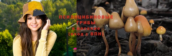 кокаин Дмитриев