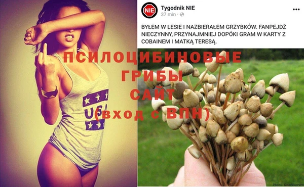 кокаин Дмитриев