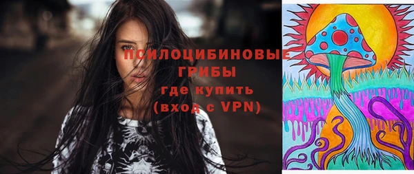 дурь Дмитровск