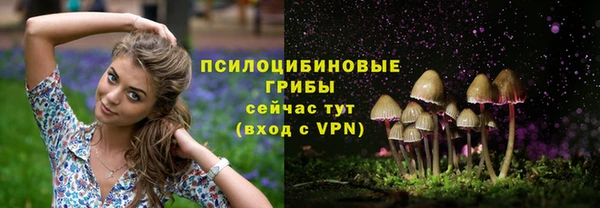 ECSTASY Дмитров