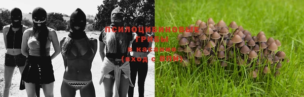 кокаин Дмитриев