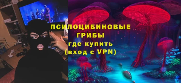 ECSTASY Дмитров